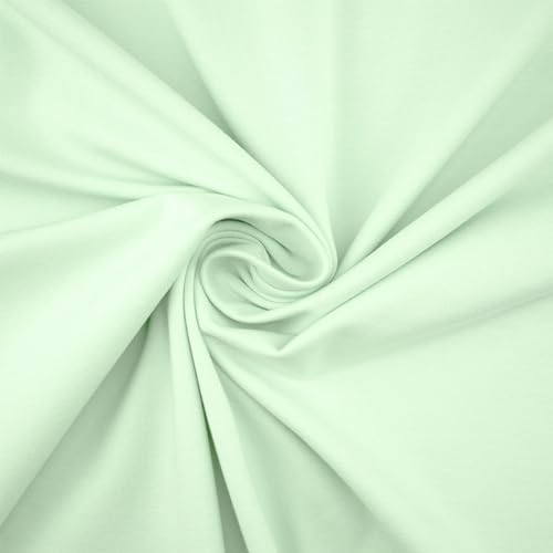 Jersey Stoff Cara, STANDARD 100 by OEKO-TEX, uni mint (Länge am Stück: ab 50cm / Breite: 150cm)