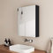 EMKE Bathroom Mirror Cabinet Wall Storage Hanging Cabinet, Wall-Mounted Storage Cupboard with Aluminum Alloy Single Door, Black