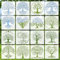 Yosugar Stencil di Pittura,16 Pezzi a forma di albero della vita Stencil,Riutilizzabili Motivo Stencils, Disegno Pittura Stencil Set, per per pareti,Tegola,Tela,Pavimento,Rocce e Legno