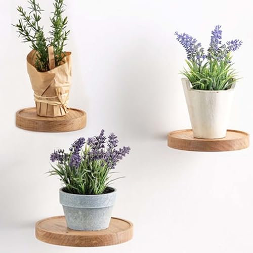 Lot de 3 étagères murales rondes, Ø 15 cm, en bois, pour plantes flottantes, décoratives, pour pot de fleurs ou vase