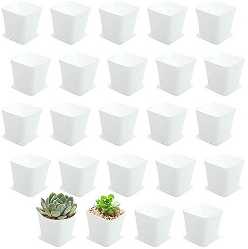 Lot de 24 pots de fleurs carrés en plastique avec soucoupe, 7,6 cm, blanc avec trou de drainage pour la maison, l'entreprise, le bureau et le jardin (blanc)