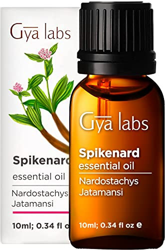 Gya Labs Ätherisches Spikenard Öl für Diffusor - 100% Reines Natürliches Spikenard Öl für Aromatherapie, Haut, Kerzen, Seifen - Warm, Würzig und Doch Süßer Duft (10ml)