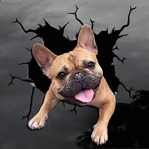 3D Hund Aufkleber, 4 Stück Französische Bulldogge Aufkleber Auto Kühlschrank Wandaufkleber Personalisierte Bulldogge Hund Auto Aufkleber Lustige Bulldogge Riss Aufkleber für Auto Motorrad,30cmx30cm
