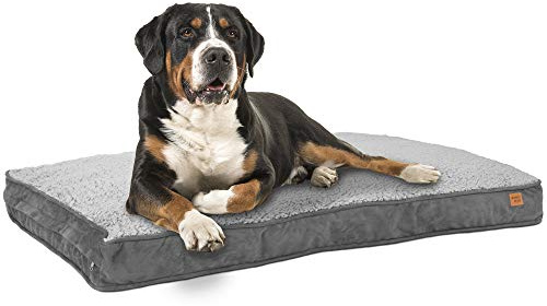 ib style Dreams Hundematte, Hundekissen waschbar, Hundematratze, Schlafplatz große Hunde, Hundebett, Abnehmbarer Bezug, XL Grau