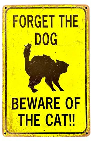 Póster de DiiliHiiri Cartel Divertido para Amantes de Gatos — 30x20cm chapa — Regalo Cómico para Dueños de Gatos | Decoración con Humor Felino Letrero (2635-251)