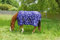 Pferdedecke mit Sternen-Design, leicht, wasserdicht, für Pferde, Ponys oder Fohlen, 106 bis 213 cm