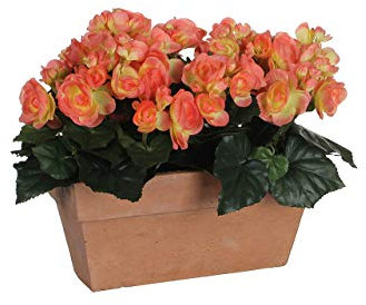 MICA Decorations Begonia Slate Terra Pot de Balcon en Ardoise 29 x 13 x 25 cm