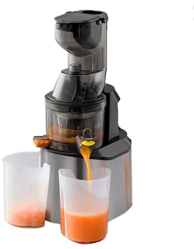 FAcoLL 150W Cold Press Juicer Machine, Portable Pomace Separation Juicer with 86mm Feed Chute, Slow Masticating Juicer with Ice Cream Network & Fruit and Vegetable Network