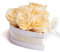 ROSEMARIE SCHULZ Heidelberg Blumenherz Infinity Rosenbox in Herzform konservierte Rosen Champagner Liebesbeweis (I Love You, Beige)