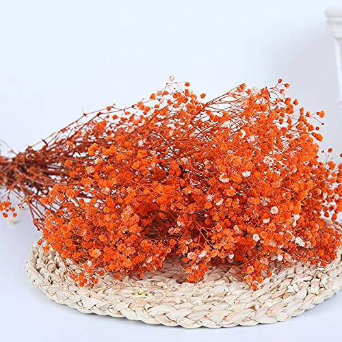 YIWOYI Natural Dry Flower Gypsophila Fresh Dried Preserved Flowers Gypsophila Paniculata Breath Flower Bouquets For Wedding Party Home Dekoration (Orange,40-55cm80g)