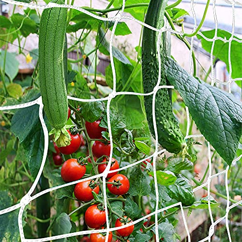 CANAGROW Ranknetz 1.8 x 4.5m/6x15ft Pflanzennetz Gurkennetz Rankhilfen Gartennetz mit Großer Maschenweite für Kletterpflanzen Früchte Gurken Erbsen Tomaten Bohnen, Weiß, 2 Packung
