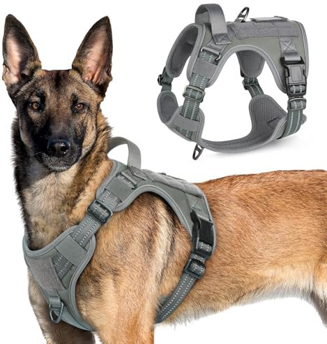rabbitgoo Hundegeschirr Grosse Hunde, Anti Zug Geschirr Hund Verstellbar mit Griffe Verbreitert, Robust und Verschleißfest, Taktisches Hundegeschirr mit Metallschnallen zum Wandern(XL, Grau)