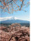 Kirschblüten Tapete Japan Motiv | Schlafzimmer und Esszimmer Fototapete japanische Kirschblüte | Vlies Bildtapete mit Berg in Rosa und Hellblau