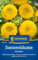 Kiepenkerl Sonnenblumensamen Teddybär 1017300 - Blumensamen für eine Beet-, Schnitt und Kübel-Sonnenblume mit Inhalt für 20 Pflanzen - Saatgut