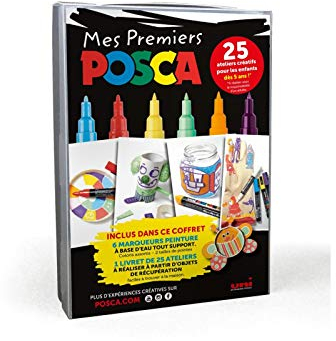 POSCA - Uni Mitsubishi Pencil - Coffret Mes Premiers 6 Marqueurs Peinture, Base Eau - 4 PCM1C Pointe Extra Fine, 2 PC3M Pointe Fine, 1 Livret de 25 Ateliers Créatifs - Emballage Zéro Plastique