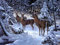 WTMLK Tiere Leinwand Malerei Für Erwachsene Farben Leinwand Malerei Kits Geschenk Home Decor, D, 60x90cm Nicht gerahmt