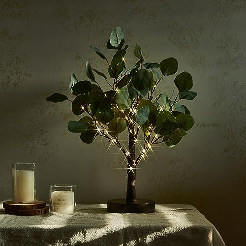 Hairui Lichterbaum 45CM Tisch-Eukalyptusbaum mit Timer Weihnachten Lichterzweige 50LEDs für Innen, Weihnachten Lichterzweige 50LEDs für Innen
