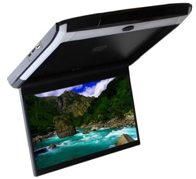 Monitor da tetto for auto 11,6 pollici, schermo HD 1080P, lettore MP5, IPS con luce ambientale blu(Black)