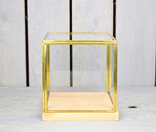 EMH Vitrine en verre et laiton avec base en bois 14,5 cm
