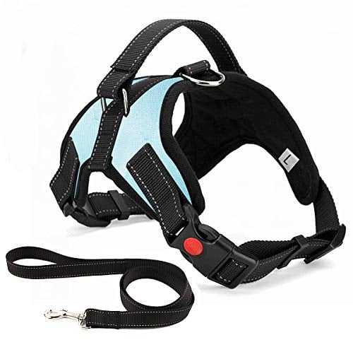 Musonic Harnais pour Chien sans Traction, Confort Réglable et Respirable, Laisse Incluse, pour Petit Moyen et Grand Chiens, Idéal pour l'Entra?Nement et la Marche (XL, Bleu Clair)