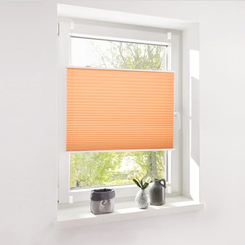 Deswell Plissee ohne Bohren Klemmfix Orange B60 x H120 cm Plisseerollo Blickdicht Sichtschutz Sonnenschutz Jalousien Easyfix Plissees Lichtdurchlässig Rollo für Fenster & Tür