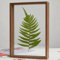 Serenitison Cadre photo double face en verre transparent, cadre photo en bois, cadre flottant double face, cadre photo de plante séchée à feuilles séchées, cadre photo calligraphie, cadre photo pour