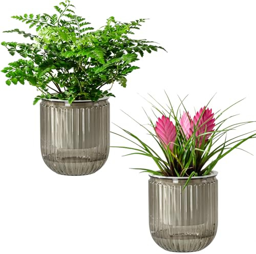 Josteve Self Watering Plant Pots Indoor, 11.8cm 2 Pack Plastic Flower Pots Orchid Garden Planters Outdoor for Herb, House Plant, African Violets, Visible Water Level Planter with Drainage Holes
