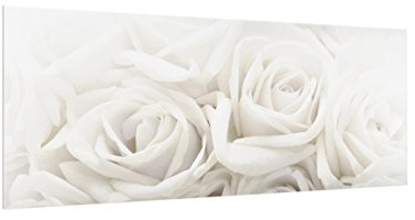 micasia Glas Spritzschutz magnetisch 4 mm starke Küchenrückwand Blumen Glasrückwand - Made in Germany - Modern Rose Wandpaneel beige Küche Herd Magnetwand 1137-M (100x40cm)