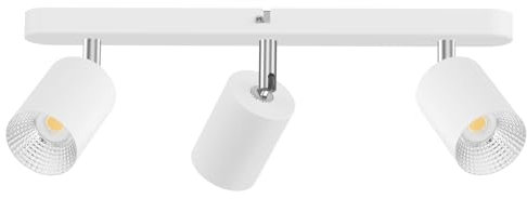 DEECOZY LED Deckenstrahler 4 Flammig Wohnzimmer-Deckenleuchte Modern Deckenlampe Flame LED Spotlight GU10 Deckenspot Schwenkbar 330°Drehbar Spot Strahler Lampe Edelstahl innen (3 Lampenhalterung)