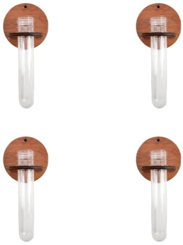Lot de 4 supports muraux hexagonaux en bois pour plantes et tubes à essai pour boutures et tiges, ensemble de décoration d'intérieur rustique