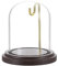 TOLIDA Horloge de poche en verre avec socle en bois naturel - Cloche décorative robuste avec tige de suspension - Plateau de table pour décoration de rose - Antiquités pour Noël, anniversaires,