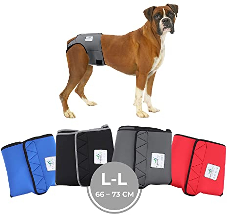 Nature Pet Läufigkeitshose für Hündinnen - Hundewindel für Rüden - Kein lästiges Einfädeln der Rute - Inkontinenz Hundehöschen (L-L-Grau)