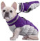 Kuoser Hundejacke Hundemantel für Kleine Hunde Winterweste, Wasserdicht Hunde Wintermantel Jacke Winter Hunde Mantel Mit Geschirr Warme Winterjacke Hundepullover Haustier Skifahren Kostüm Lila, S