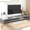 WIFESE Support de Moniteur Sonoma Gris 100x24x13 cm Bois d'ingénierie Rehausseur Ecran Design Minimaliste Support d'ordinateur Elégante Support TV Support d'écran pour Maison Bureau Chambre