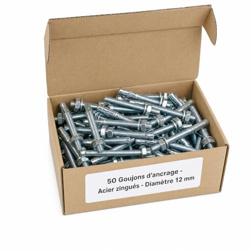 50 Goujons DAncrage - Opt7 - Acier zingués - diamètre 12 mm - Longueur 100 mm