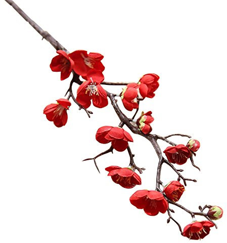 Sureh Fiori di ciliegio artificiali rossi, con gambo lungo, simulazione di plastica fiori di ciliegio, rami di fiori finti di seta, per bouquet di nozze, decorazione per la casa, 5 pz.