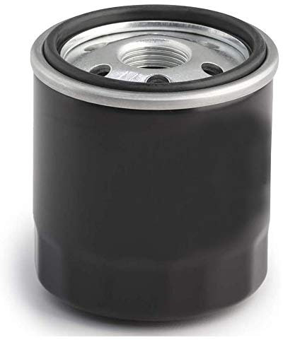 Hippotech Filtre à huile pour Kawasaki 49065-2057, 49065-2070, 49065-2071
