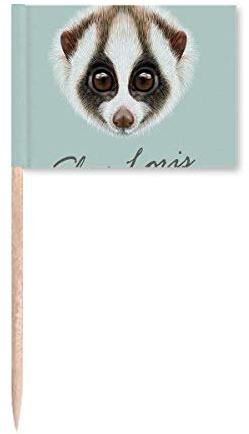 Banderas de palillo de dientes con diseño de ojos grandes, color blanco y marrón