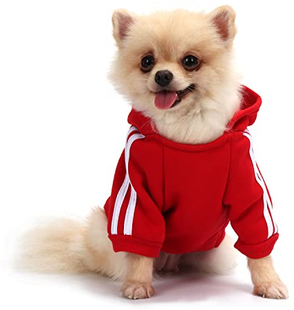QiCheng&LYS Sueter Mascota, Jersey Perro Mediano,Sudadera Perro Ropa ParaCachorros, Sudadera para Chihuahua Cómodo Y Cálido (Rojo, Medium)
