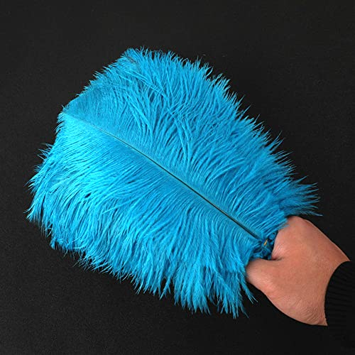 10 Stück 25-30cm Natürliche Straußenfedern,Strauß Feder zum Basteln,Bastel Federn für DIY Traumfänger Zubehör,Heimdekoration,KostüMe,Tischdeko Hochzeit Party Fest Hüte Kleidung Dekoration,Blau See
