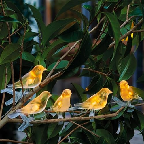 Fishtec Solar-Lichterkette - 5 leuchtende Vögel mit Dämmerungssensor - Dekoration für Garten Balkon und Terrasse - Wetterfester Kunststoff mit 2 Meter Zuleitung für eine magische Atmosphäre