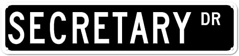Metallschild Sekretär DR Vintage Schilder Retro Blechschilder Aluminiumschild Plakette für Zuhause Schlafzimmer Garten Wand Wohnzimmer Outdoor Pub Club Dekor 10,2 x 40,6 cm