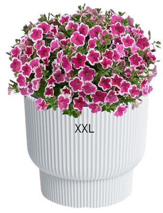 MELTOM Blumenkübel Blumentopf mit Herausnehmbaren Einsatz Rund Frostbeständiger Modern mit Rillen (Weiß, XXL)