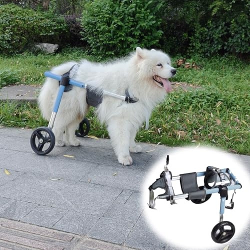 Rullstol för Hund Bakben 4-hjulig Hundrullstol Stor Ras, Medium Assisterad Rollator för Svaga Ryggben, Rörelsehjälp för Hundar Utomhus för Bakbensgång(Blue,XS)
