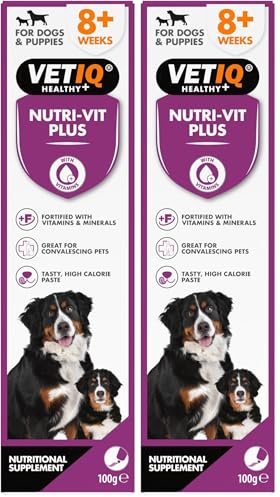 VETIQ Nutri-Vit Plus Vitamin Supplement Paste For Dogs & Puppies, Helps to Provide Extra Energy & Nutrition For Poor Eaters And Support When Off Their Food, 100 g (Pack of 2)