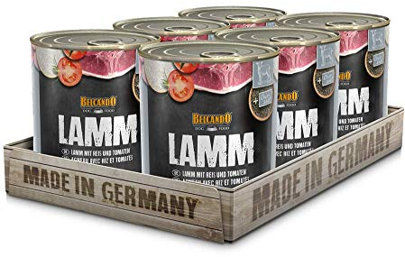 BELCANDO Super Premium Dose [6x800g Lamm mit Reis & Tomate] | Nassfutter für Hunde | Feuchtfutter Dose | Alleinfutter für Hunde Aller Rassen