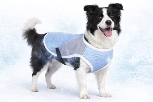 Hundemantel - Kühlmantel Frozen blau grau XL - 45 cm - wasserabsorbierend - verstellbar - Klickverschluss