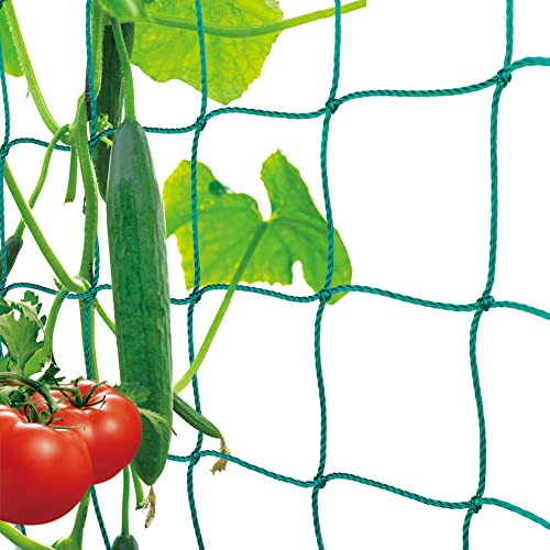 Premium Ranknetz mit großer Maschenweite für den perfekten Wachstum von Tomaten, Gurken und Kletterpflanzen Das Optimale Rankhilfe Netz für Garten und Gewächshaus - Maschnweite (10cm), Größe: 10 x 2m