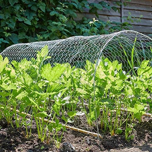 Garden Mile 5m x 1m Chicken Wire Mesh Roll,Chicken Wire Mesh for Pet Rabbit Chicken Fencing Galvanised Hexagonal Wire Poultry Netting to Protect Gardening Plants Vegetables Flowers Fruits