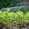 Garden Mile 5m x 1m Chicken Wire Mesh Roll,Chicken Wire Mesh for Pet Rabbit Chicken Fencing Galvanised Hexagonal Wire Poultry Netting to Protect Gardening Plants Vegetables Flowers Fruits